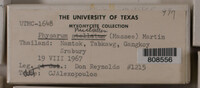 Image Associated With the Occurence